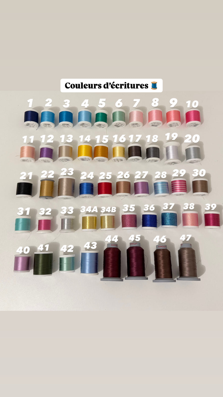 Trousse de toilette velours côtelés {Broderie}
